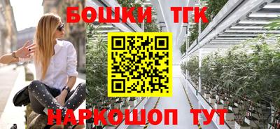 соль ск Можга